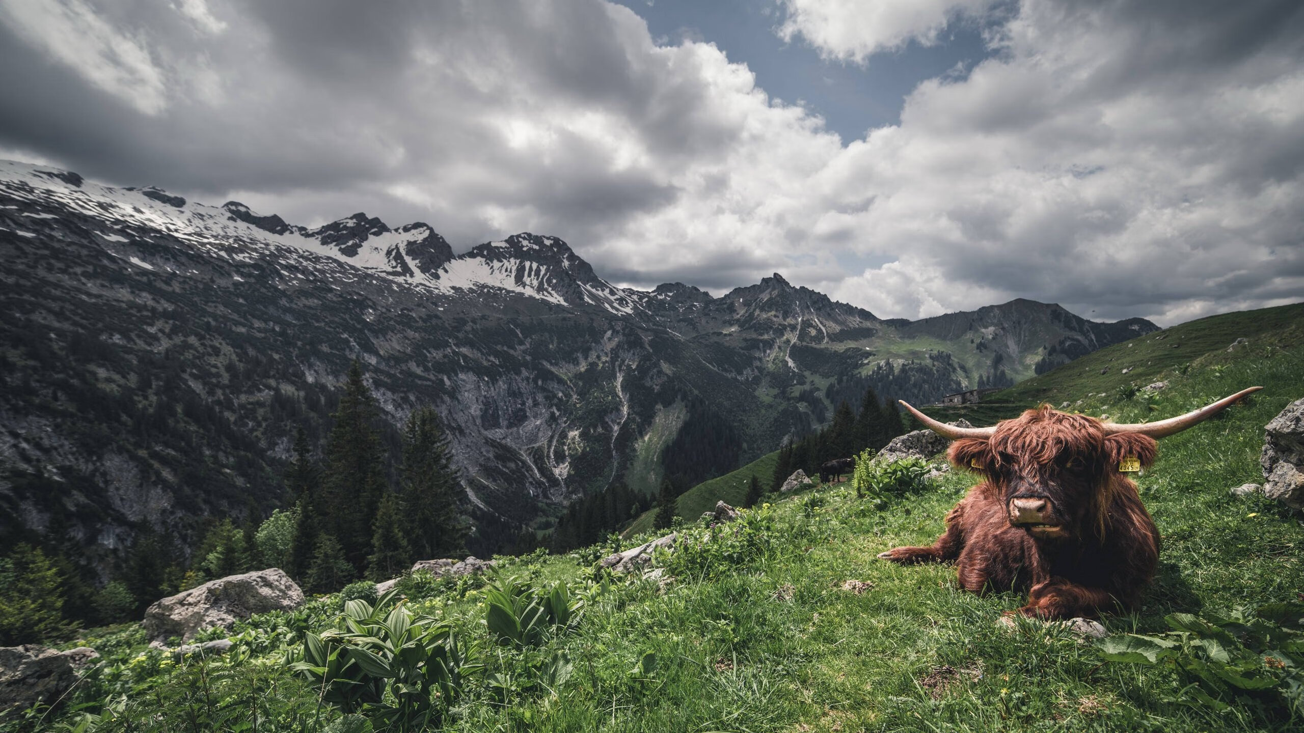 孤鹰断箭，烈日焚城—布克年度封神之战诠释何为终极接管