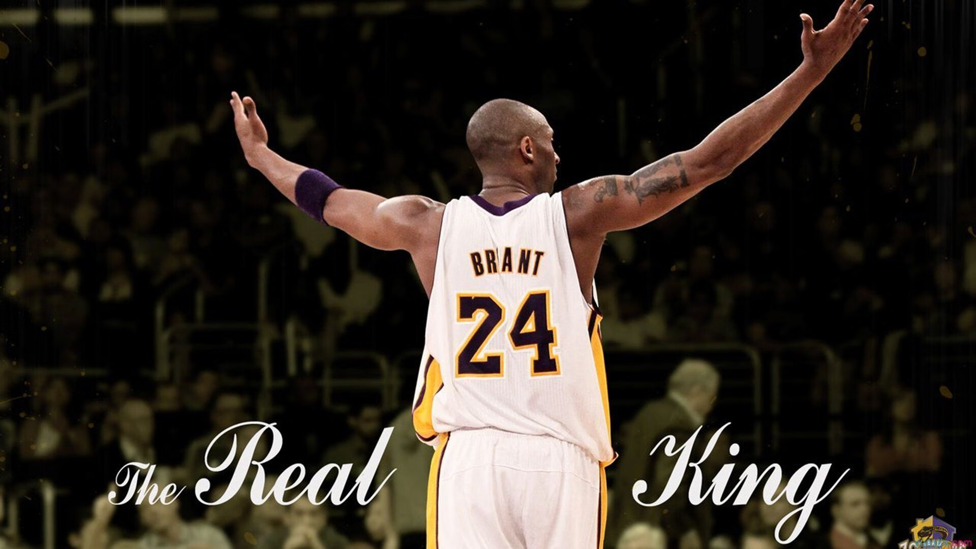 黄蜂火力压制雷霆,克莱高光表现点燃赛场